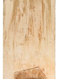 10th - Stations of the Cross by Fr. Bill Moore