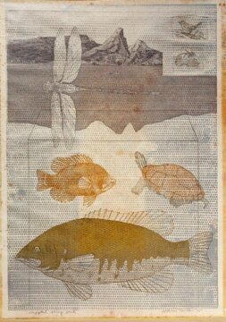 James Fuller <span style="font-size:16px; font-weight:normal;">(1927-2017 )</span>